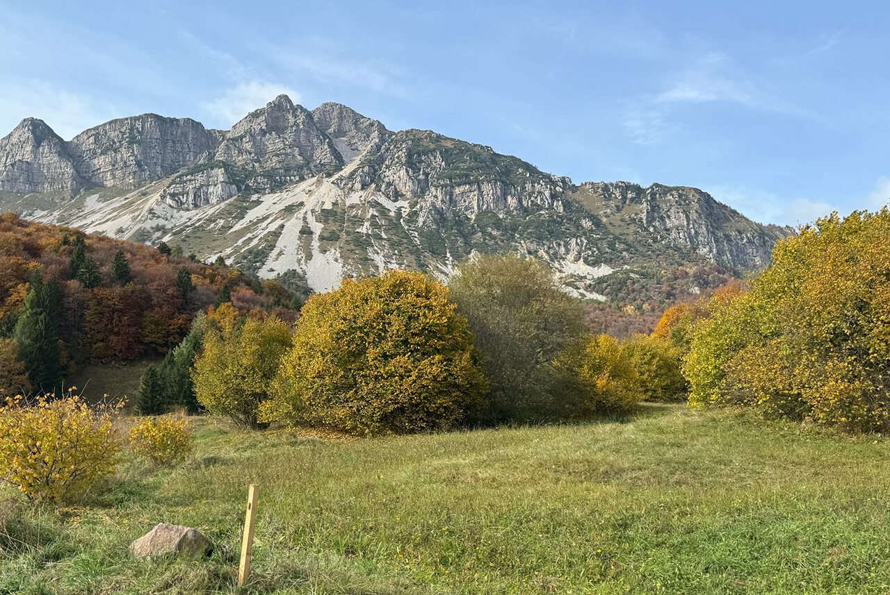 Spätsommer-Abenteuer FRANKIA NOW 7.0 L – La Baita Bordola Spätsommer-Abenteuer FRANKIA NOW 7.0 L – La Baita Bordola
